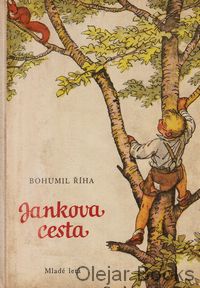 Jankova cesta