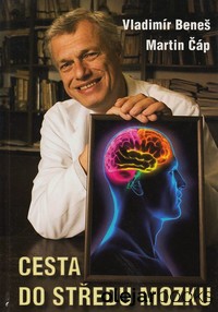 Cesta do středu mozku 