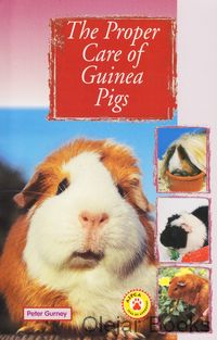 The Proper Care of Guinea Pigs
