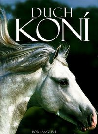 Duch koní