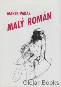 Malý román