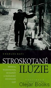 Stroskotané ilúzie