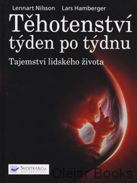 Těhotenství týden po týdnu 