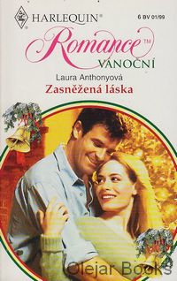 Zasněžená láska