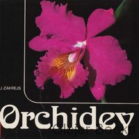 Orchidey