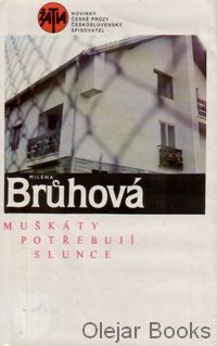Muškáty potřebují slunce