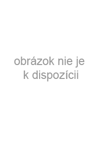 Technológia dámskeho krajčírstva pre 2. a 3. ročník OU a UŠ, odbor dámsky krajčír