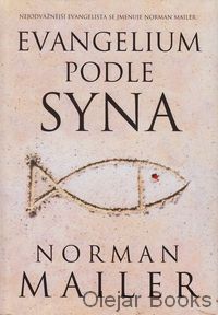 Evangelium podle syna