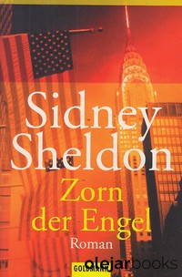 Zorn der Engel