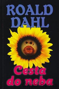 Cesta do neba
