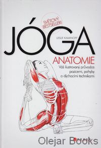 Jóga - anatomie