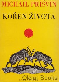 Kořen života