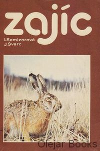 Zajíc