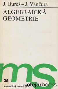 Algebraická geometrie