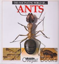 Ants