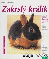 Zakrslý králík