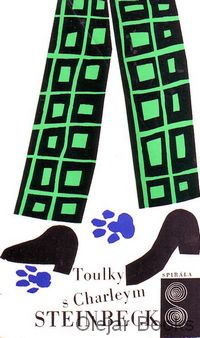 Toulky s Charleym