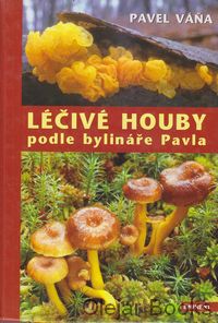 Léčivé houby podle bylináře Pavla