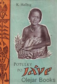 Potulky po Jave