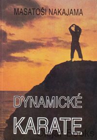 Dynamické karate