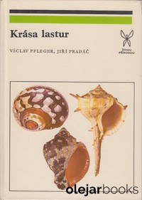 Krása lastur