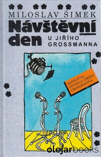 Návštěvní den