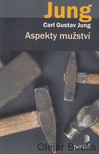 Aspekty mužství
