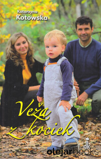 Veža z kociek