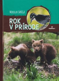 Rok v prírode