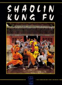 Shaolin Kung Fu