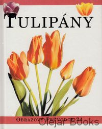 Tulipány