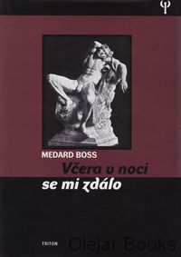 Včera v noci se mi zdálo