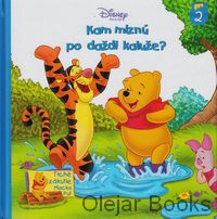 Kam miznú po daždi kaluže