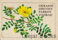 Okrasné dreviny parkov a záhrad