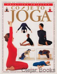 Co je to jóga
