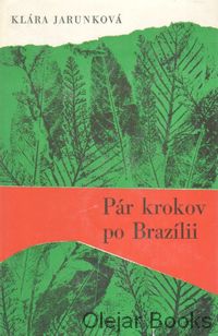 Pár krokov po Brazílii