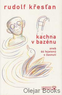 Kachna v bazénu