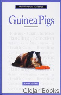 A New Owner's Guide to Guinea Pigs