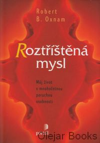 Roztříštěná mysl