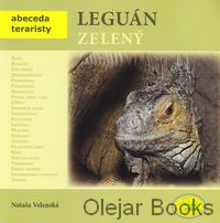 Leguán zelený