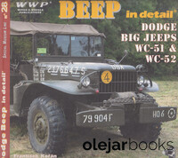 BEEP in detail