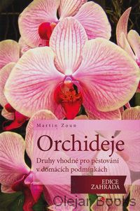 Orchideje