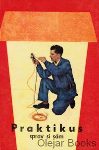 Praktikus