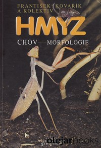 Hmyz - chov, morfologie