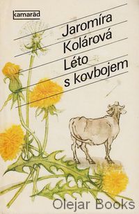 Léto s kovbojem
