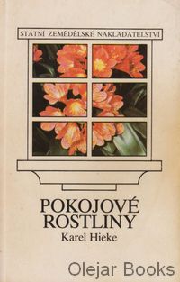 Pokojové rostliny