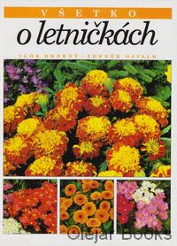 Všetko o letničkách