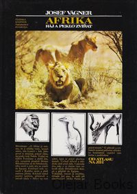 Afrika