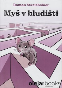 Myš v bludišti