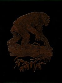 The Great Apes
